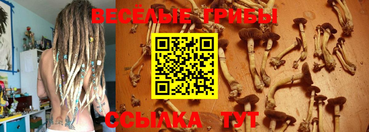 Псилоцибиновые грибы GOLDEN TEACHER Волоколамск