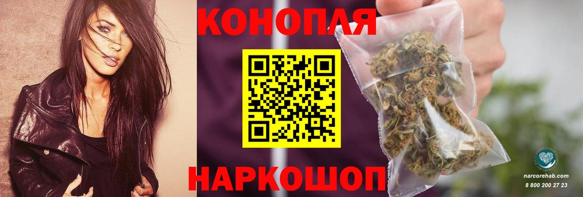 Бошки Шишки семена Волоколамск